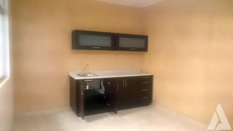 Cocina integral con gabinetes oscuros y tarja instalada en una remodelación de interiores